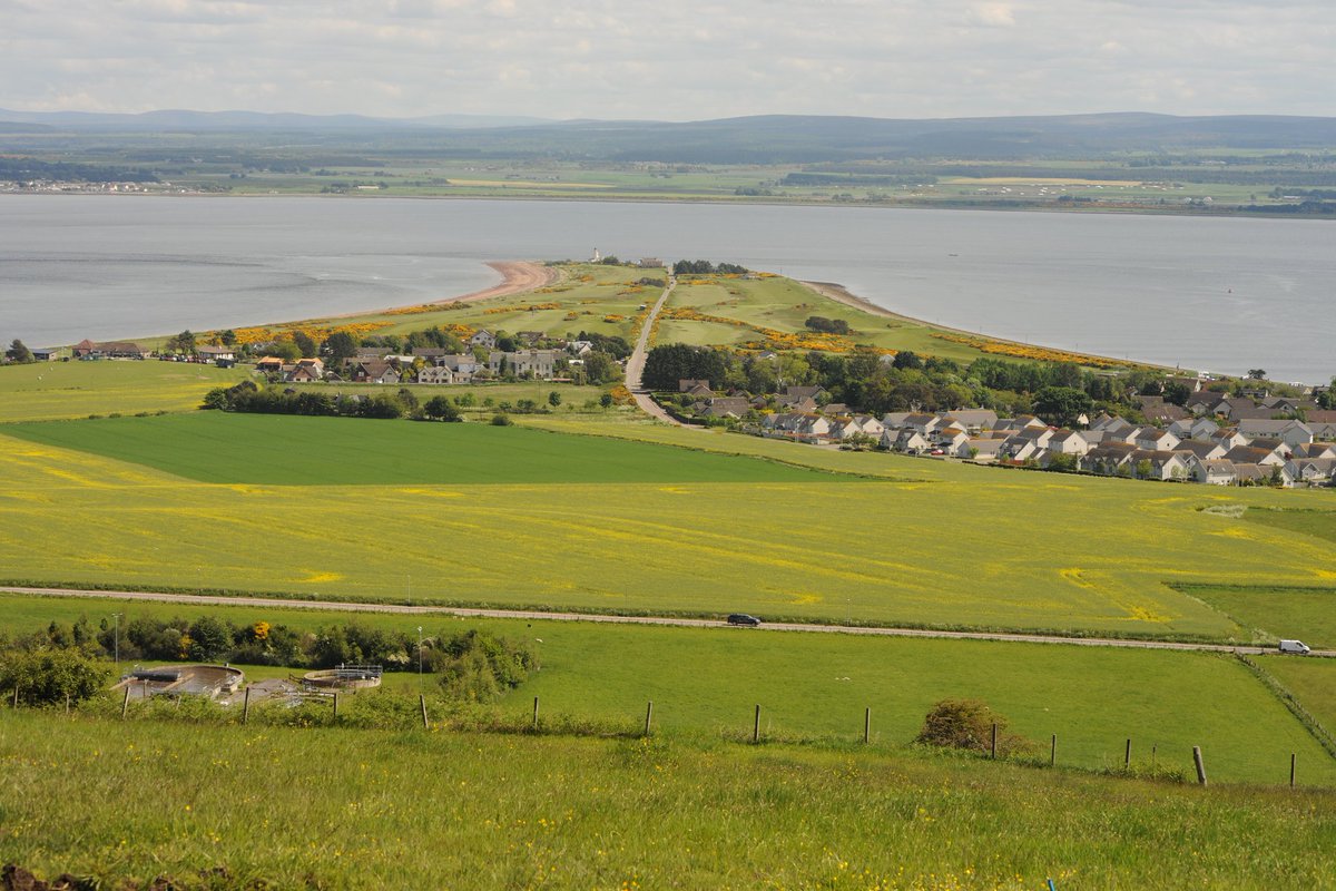 Good sightings of Bottlenose Dolphins at Chanonry Point near Fortrose Blackisle Scotland in the last few days #chanonrypoint #blackisle #scotland #scottishhighlands #wildlife #Dolphins #WorldOceansDay #WorldOceanDay #dolphin #coast