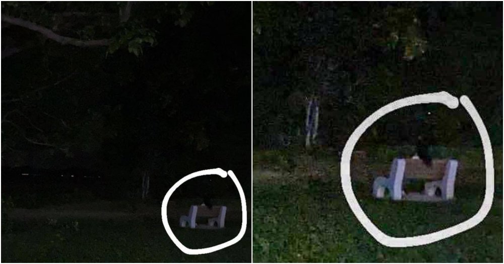 Mothership tweet media