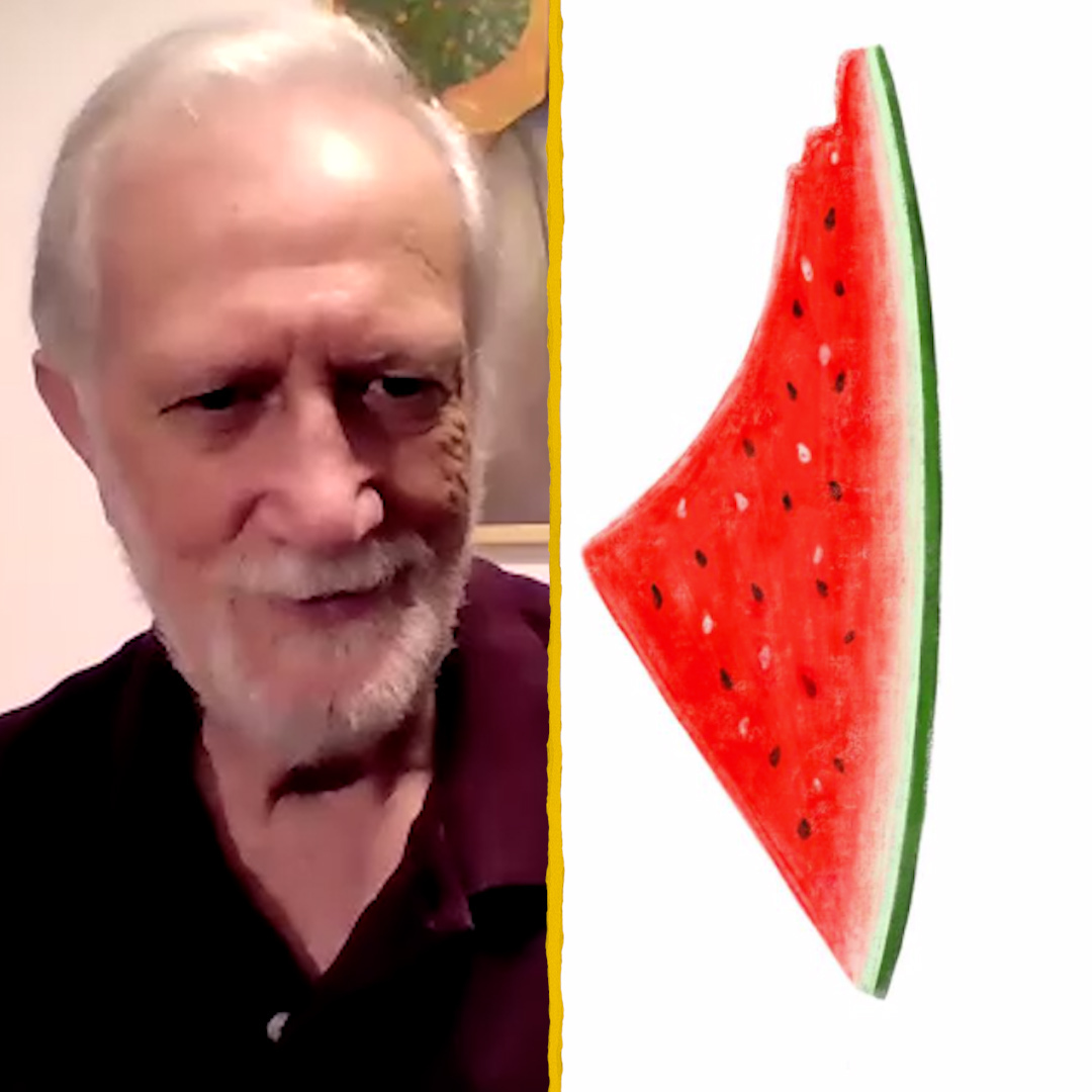 AJ+ on Twitter: "How did the watermelon become a symbol of resistance
