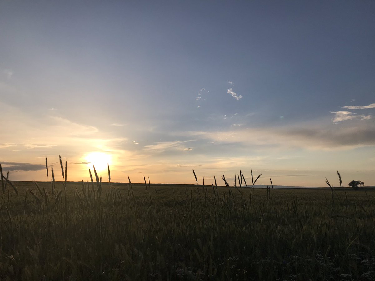 “ Denizi seyretmek gibidir bozkırda gökyüzünü seyretmek.”
Neşet Ertaş