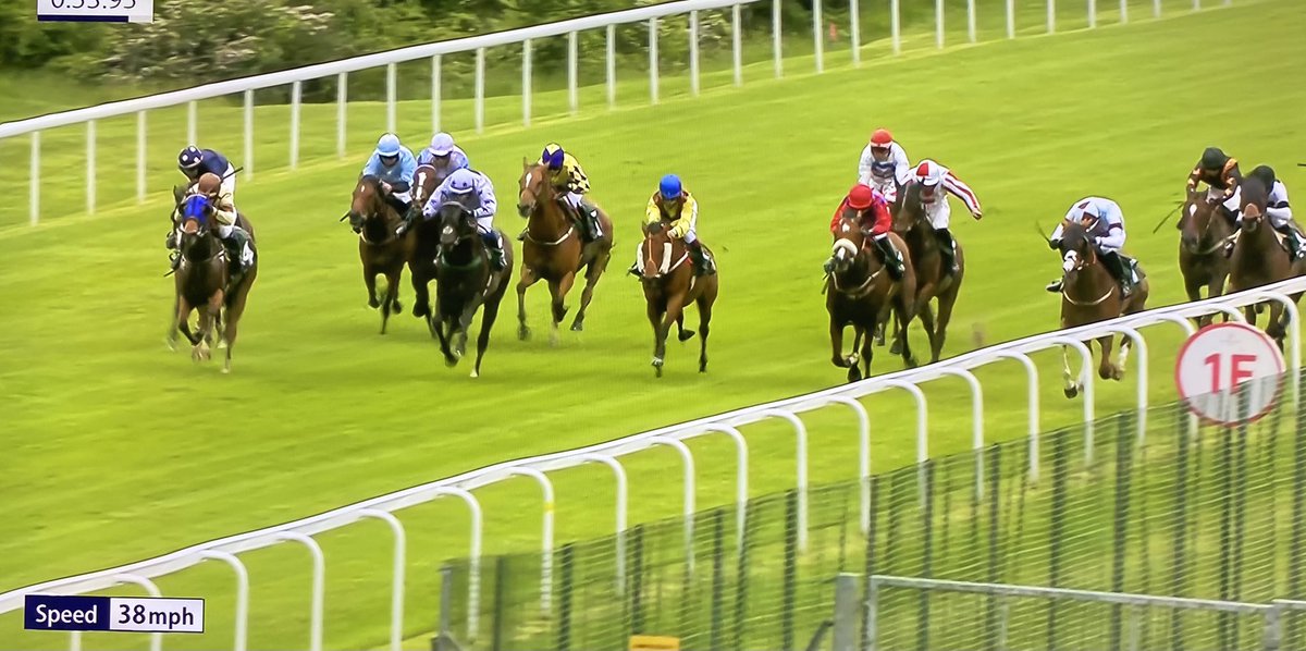 amajox's tweet photo. Congrats @amajox @MC_ENNIS WINS @HamiltonParkRC #HardSolution defies rise in weights to repeat @Redcarracing victory @omeararacing #2from2 #strengthinsaddle #topride #topjock #14ran 💪🙌👏👏👏🥂 https://t.co/SRSEAUA4DX