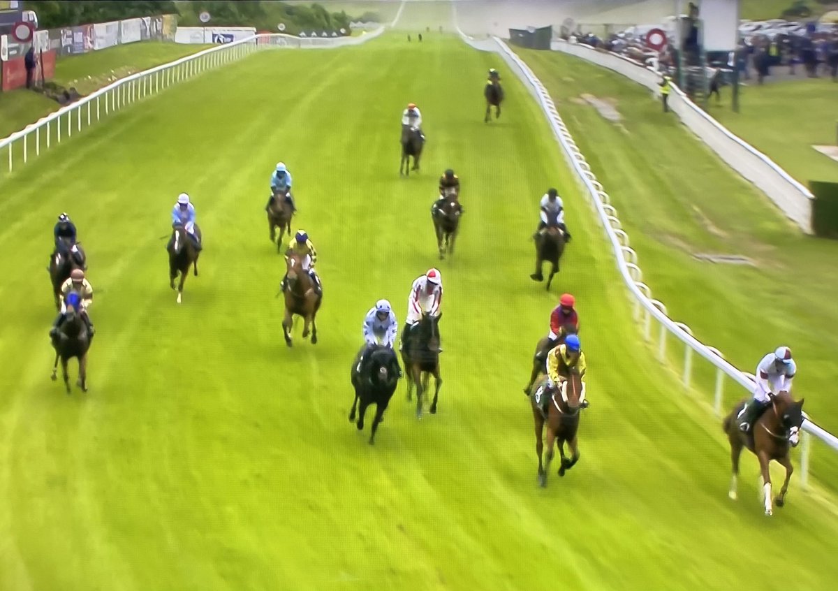 amajox's tweet photo. Congrats @amajox @MC_ENNIS WINS @HamiltonParkRC #HardSolution defies rise in weights to repeat @Redcarracing victory @omeararacing #2from2 #strengthinsaddle #topride #topjock #14ran 💪🙌👏👏👏🥂 https://t.co/SRSEAUA4DX