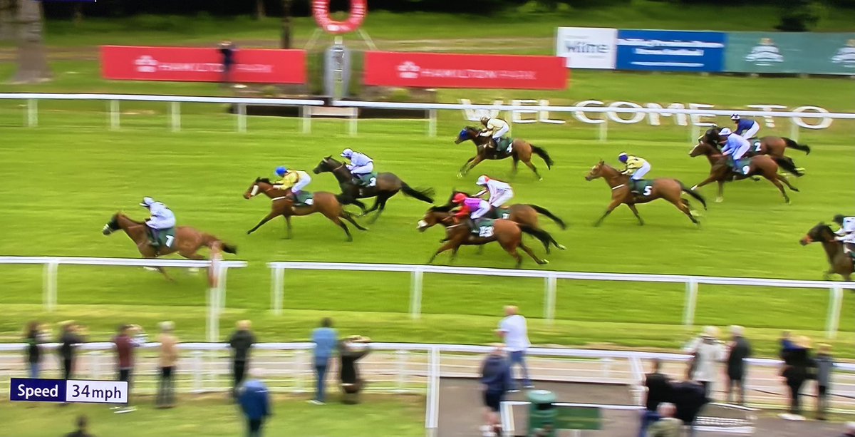 amajox's tweet photo. Congrats @amajox @MC_ENNIS WINS @HamiltonParkRC #HardSolution defies rise in weights to repeat @Redcarracing victory @omeararacing #2from2 #strengthinsaddle #topride #topjock #14ran 💪🙌👏👏👏🥂 https://t.co/SRSEAUA4DX
