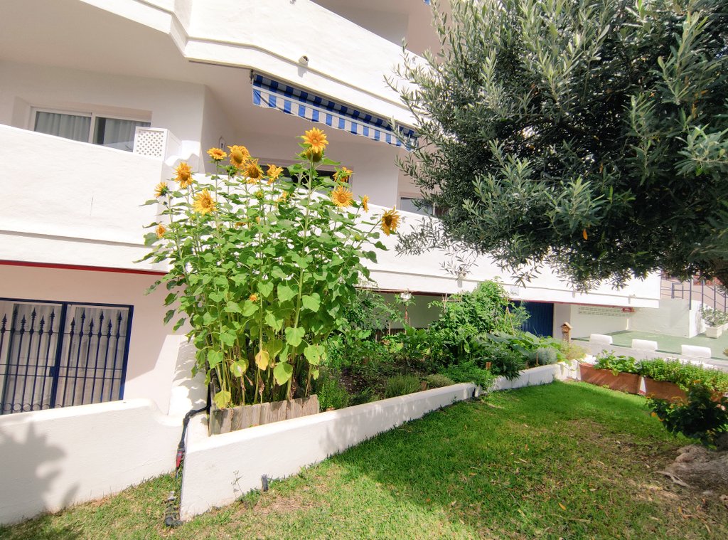 Stephanie Leger tweet media