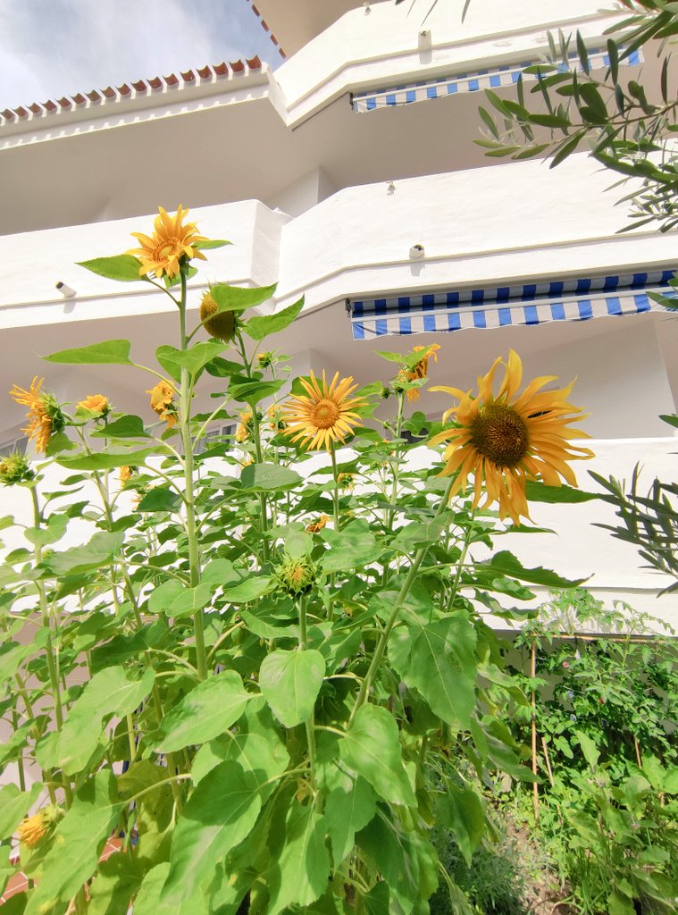 Stephanie Leger tweet media