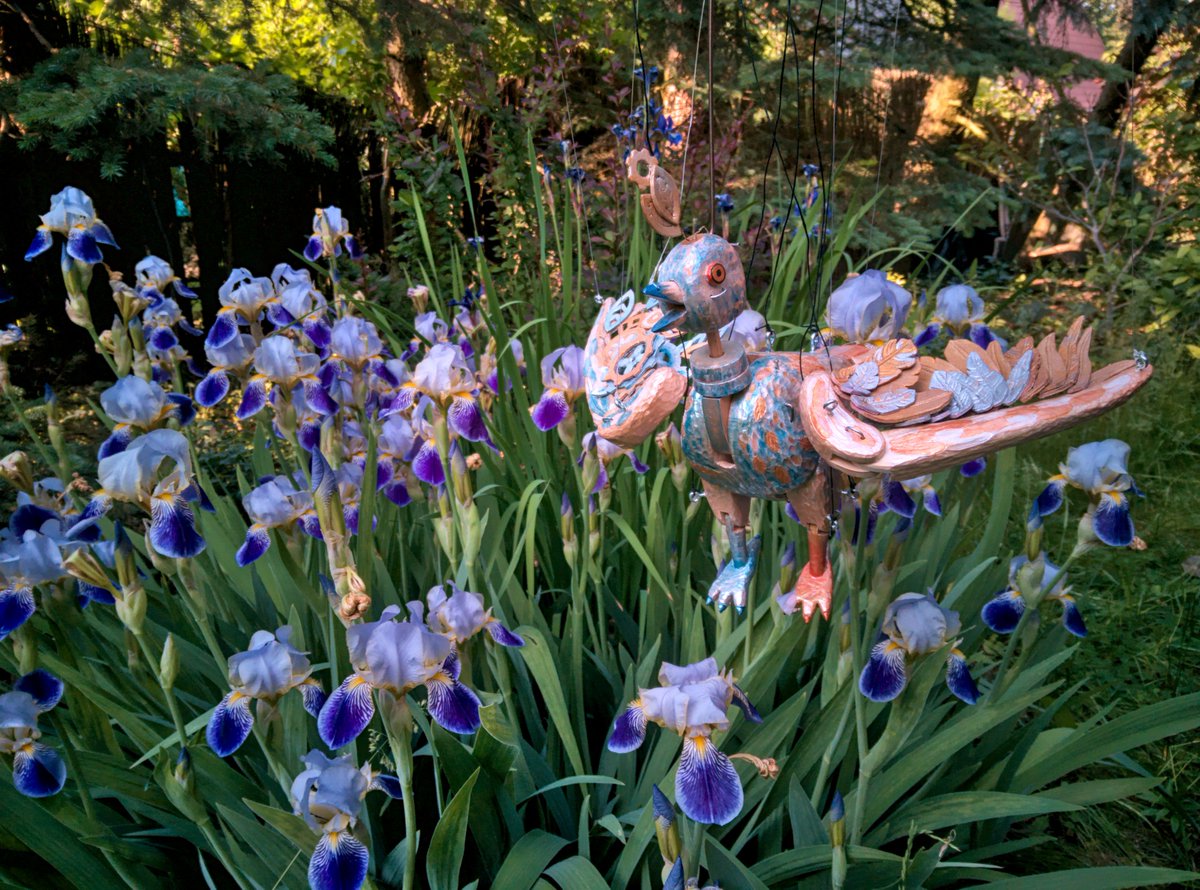 dos1's tweet image. 1st: Canon PowerShot SX740 HS (on auto)
2nd: Librem 5 (straight from camera app)
3rd: Librem 5 (developed in darktable)
#shotonlibrem5 #librem5