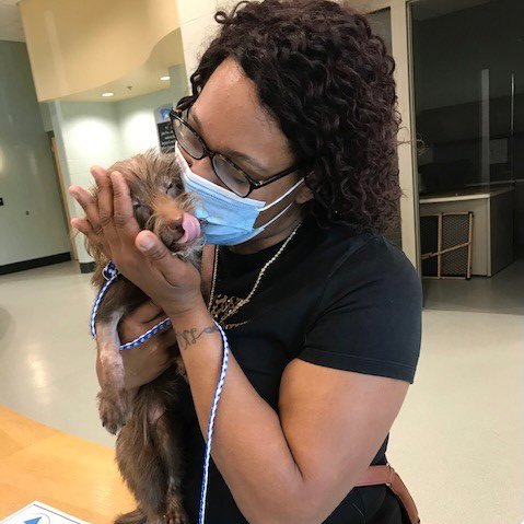 remarkable puppy came back from crisis 3x before 1 yro ❤ read Brinx's amazing story of recovery with <a href="/KodiakCare/">KodiakCare</a>  and <a href="/MspcaAngell/">MSPCA-Angell</a>  in The Kodiak Tails! Find all the news fit to paw print here: kodiakcare.org/newsletters