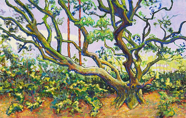 Fastframe_HHI's tweet image. New artwork for sale! - "Young Oak" - david-randall.pixels.com/featured/young… @fineartamerica