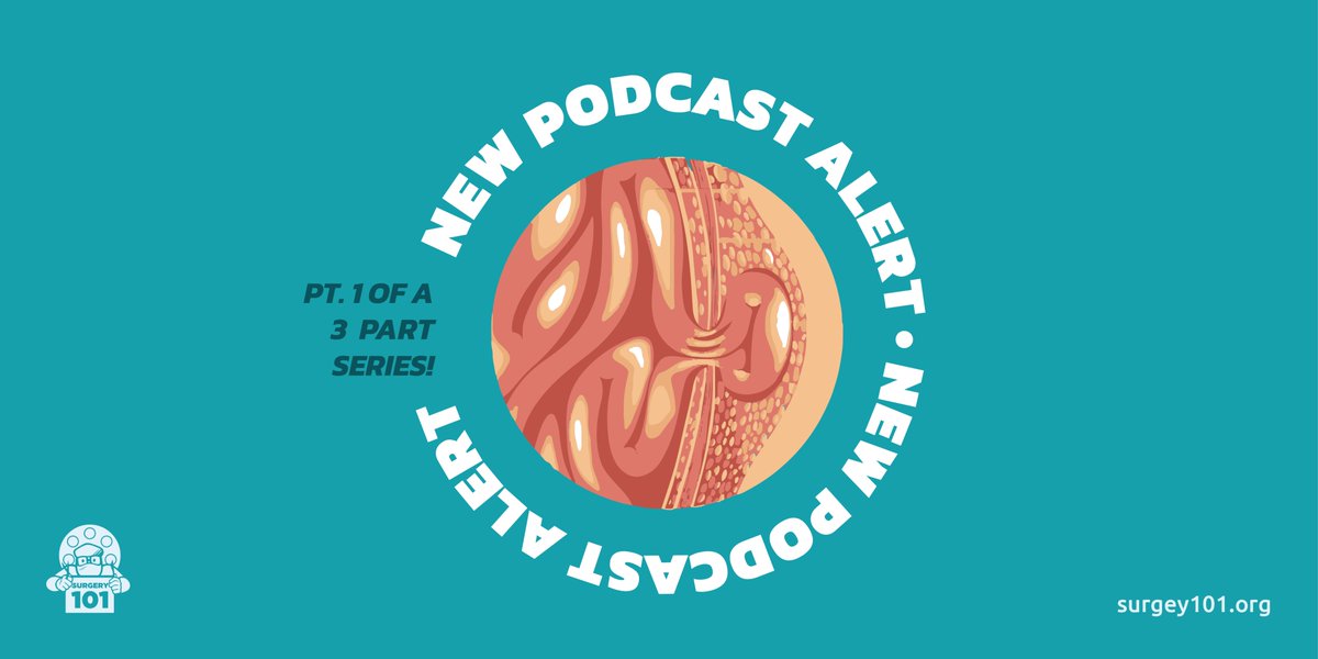 surgery_101's tweet photo. 🚨 #NewPodcast alert! Our newest #Surgery101 podcast episode is up on our website &amp; app! 

Review Hernia Basics &amp; Spigelian Hernias: https://t.co/DLbFFpg7qm

Thanks to our new followers for joining the #Surgery101Community!
#MedEd #MedEdTwitter #OpenSource #MedStudentTwitter https://t.co/Ch41KMrlFu