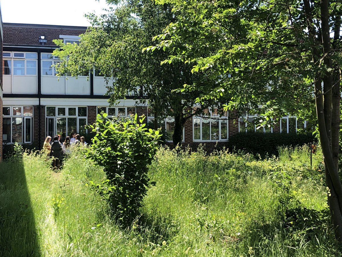 What a beautiful day! A particularly lovely day to be part of Eco club and work in the nature garden with support from <a href="/CUBotanicGarden/">Cam Botanic Garden</a> ☀️ 🪴