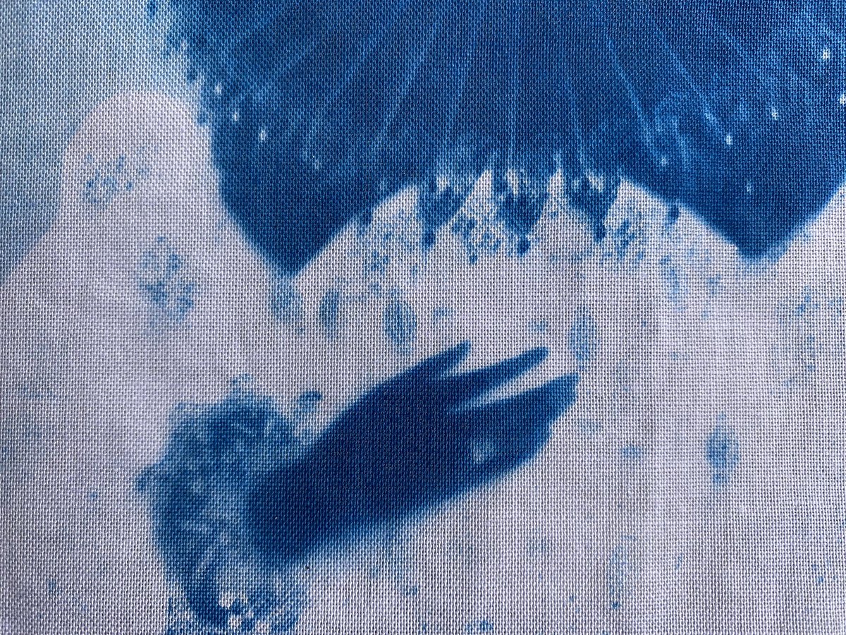 ACoraPerson's tweet photo. Testing #cyanotype fabric for my first in-person event @NThardwick tomorrow. What an inspiring location to work in. Capturing #light #data #AnnaAtkins style #firstfemalephotographer. @HeritageFundUK #BessofHardwick #ArbellaStuart #STEAM #HomeEd #dataviz https://t.co/ZuKSTz3GIo