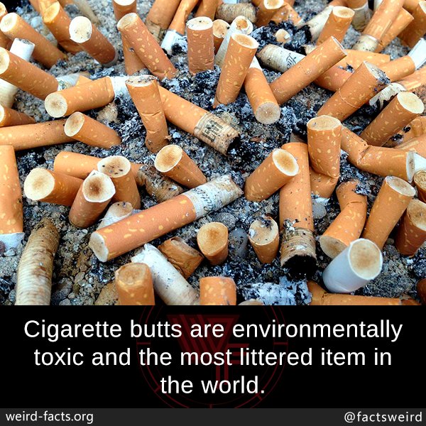 blowingfact's tweet photo. https://t.co/4JOEKTaRca