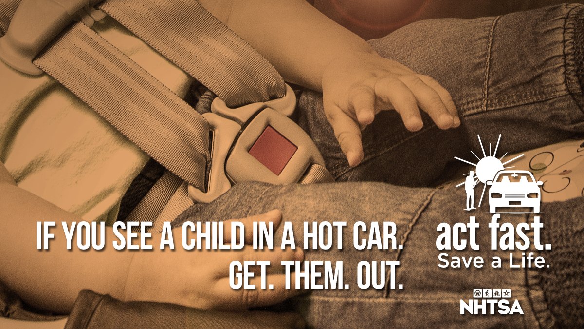 The Daly Download tweet media