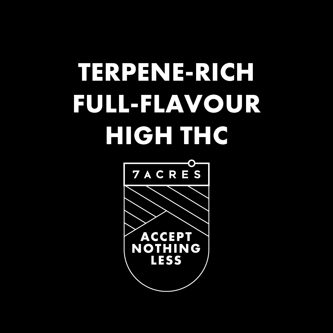 7ACRESmj's tweet photo. We take pride in growing top quality cannabis, while always respecting each cultivar’s genetic lineage and history. Our flower is the foundation of all our 2.0 products, including our PAX pods. 

Learn more: https://t.co/0L0OVo8MTJ

#AcceptNothingLess #SeshToGo #RespectThePlant https://t.co/IeqzZ0CZ9P