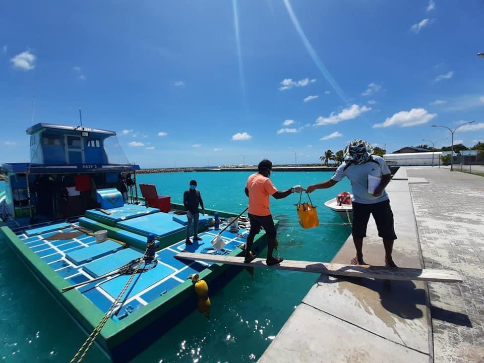 keyodhoomv's tweet photo. ރަށައް ދިމާވެފައިވާ ކޮވިޑްގެ މިހާލަތުގައި ކެޔޮދޫ ރީފް ދ��ނިވަނީ ކަނޑުމަސް ބޭނުންވާ ގޭގެއަށް މަސް ހަދިޔާ ކޮށްދީފަ. ކެޔޮދޫ އަކީ ނަމޫނާ ރައްޔިތުން ތަކެއް ދިރިއުޅެމުންދާ ރަށެއް ماشاءالله. ޝުކުރިއްޔާ ރީފް ދޯނި. މާތް الله ތިކުރައްވާ މަސައްކަތުގައި ބަރަކާތްލައްވާށި.  އާމީން #keyodhoo https://t.co/CKhCIQj5RR