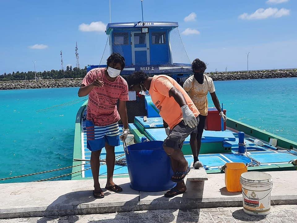 keyodhoomv's tweet photo. ރަށައް ދިމާވެފައިވާ ކޮވިޑްގެ މިހާލަތުގައި ކެޔޮދޫ ރީފް ދ��ނިވަނީ ކަނޑުމަސް ބޭނުންވާ ގޭގެއަށް މަސް ހަދިޔާ ކޮށްދީފަ. ކެޔޮދޫ އަކީ ނަމޫނާ ރައްޔިތުން ތަކެއް ދިރިއުޅެމުންދާ ރަށެއް ماشاءالله. ޝުކުރިއްޔާ ރީފް ދޯނި. މާތް الله ތިކުރައްވާ މަސައްކަތުގައި ބަރަކާތްލައްވާށި.  އާމީން #keyodhoo https://t.co/CKhCIQj5RR