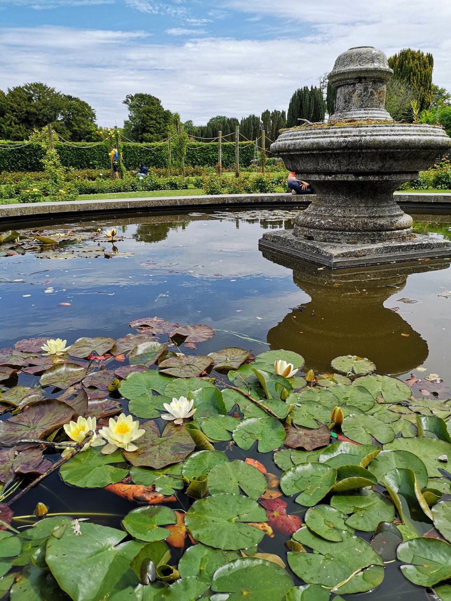 Drumanagh's tweet photo. Ardgillan looking lovely. #gardens https://t.co/FSrGc0XKcr