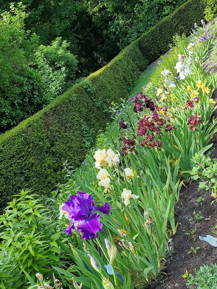 Drumanagh's tweet photo. Ardgillan looking lovely. #gardens https://t.co/FSrGc0XKcr