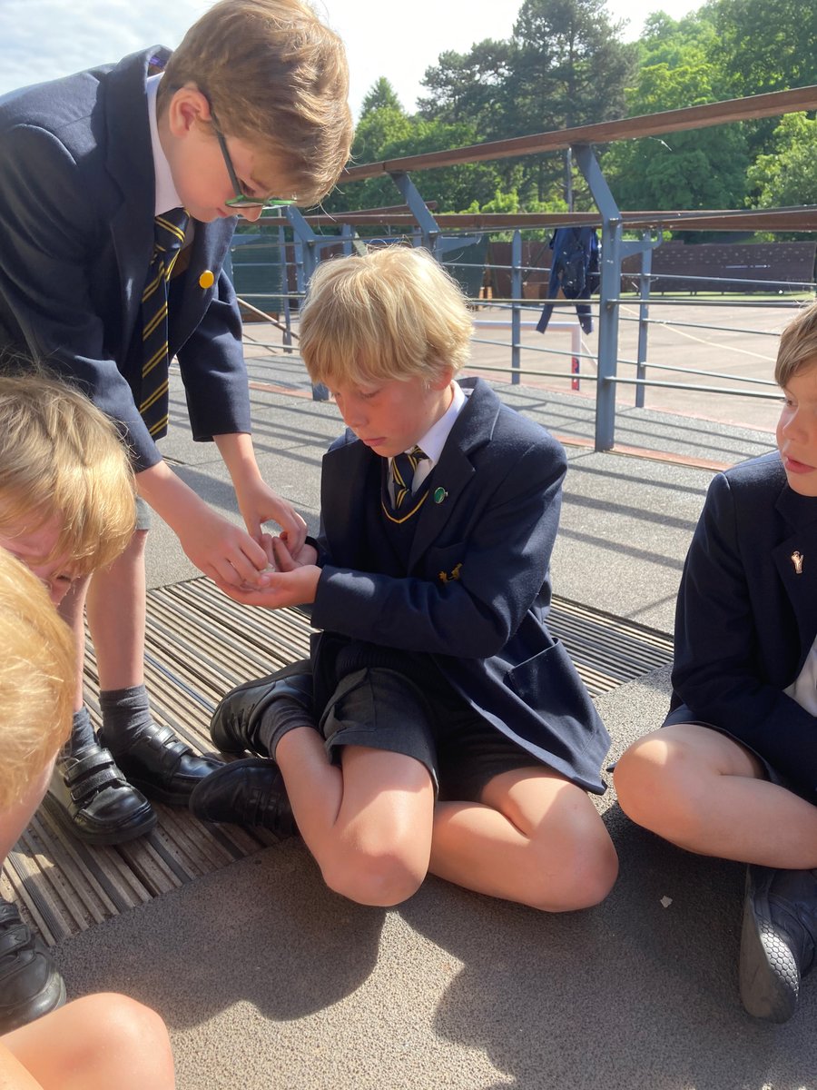 MBP_Humanities's tweet photo. Year 3  did a float test with a chunk of volcanic pumice rock to find out why escape by sea was so difficult for Pompeii's residents in 79AD. Thanks for bringing it in Jasper! 🌋🏺@Habsmonmouth @MonBoysPrep #pompeii #Vesuvius🌋🏺@Habsmonmouth @MonBoysPrep #pompeii #vesuvius https://t.co/h3H18JEzNL
