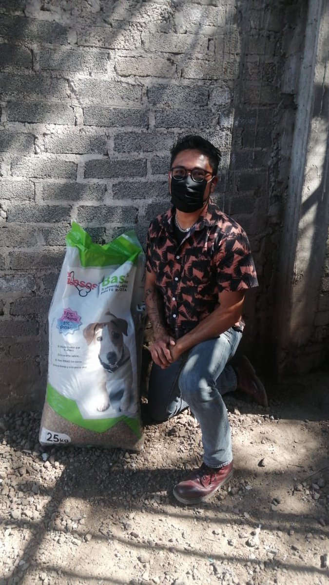 Xol_Balam's tweet photo. Les compartimos la primera donación en especie que les hicimos llegar a nuestros amigos de @GregorioRefugio a inicios de ano. su red todavía esta creciendo y confiamos poder ampliarla para ayudarlos más. Porfa revisen su trabajo y apóyenlos también 

#adoptamx #adoptanocompres https://t.co/rYdnHAatlB