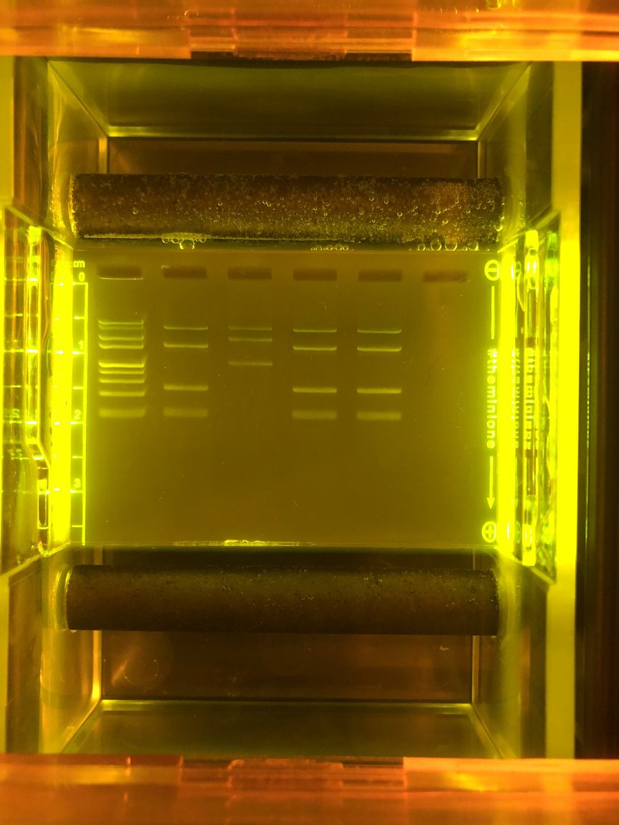 Rebecca Brewer (she/her) tweet media