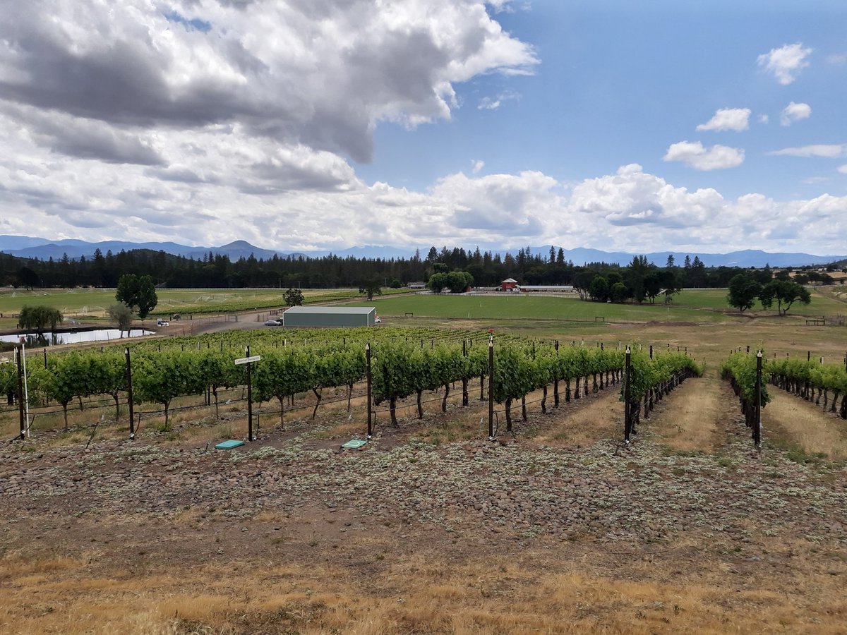 Flight de #KriselleCellars #RogueValley #Oregon #SouthernOregon #Vineyard #Winery #WineMaker #ChefBossuet