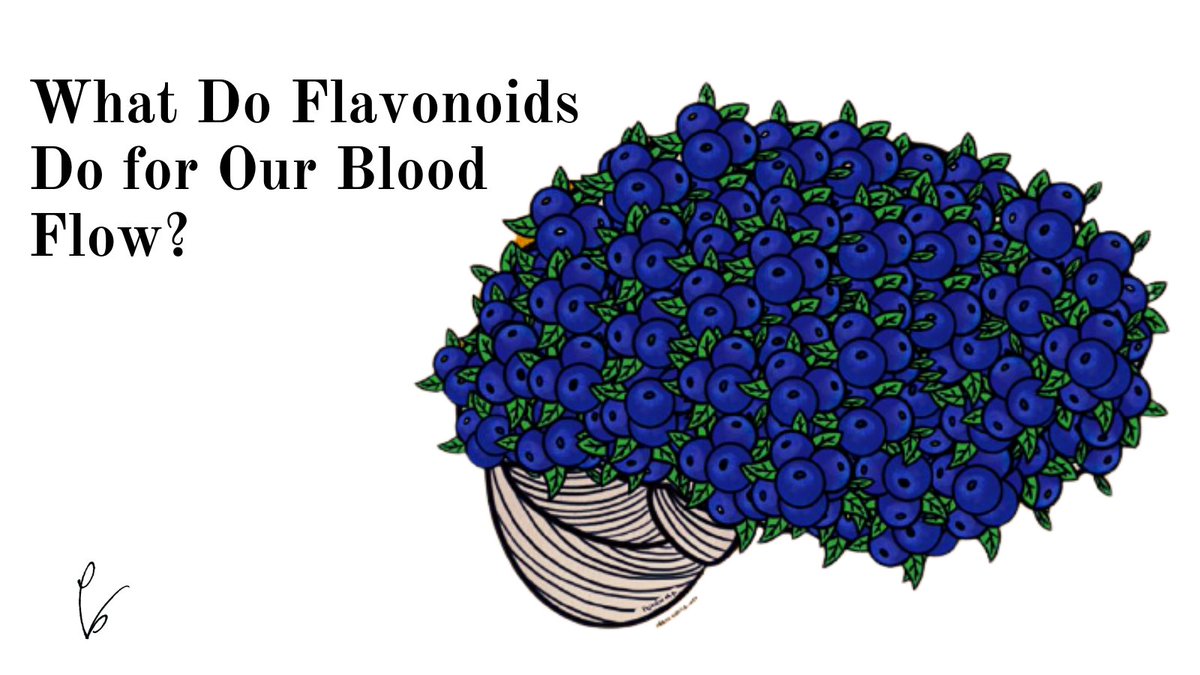 Considering the links connecting insufficient nitric oxide and vascular dysfunction to: 👉hypoperfusion 👉dementia 👉Alzheimer’s disease What flavonoids do to increase nitric oxide also helps prevent age-related brain diseases Read more here👇 plantbased.com/what-do-flavon…