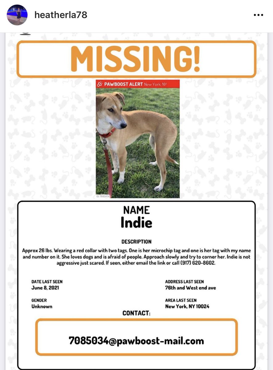Keep an eye out for this missing pup that may be in Riverside or Central Park or in the west 70s - please keep an eye out if you see her or happen to see a pup hiding a corner around those areas!