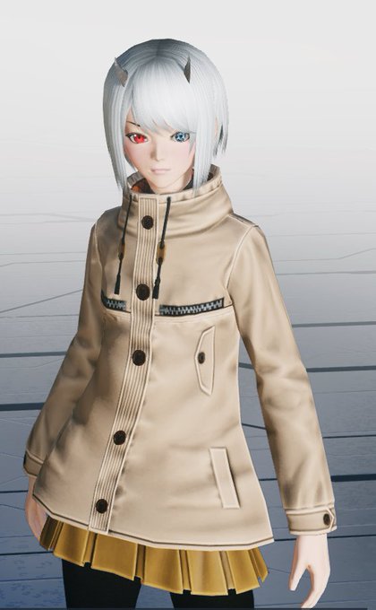 久しぶりにマイキャラ見た 