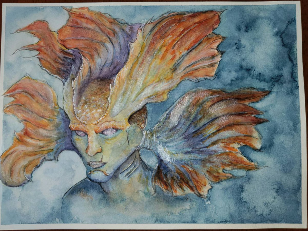 MrJiyn's tweet photo. Merfolk for MerMhEey... it's already June?!  

Well, here is my betta fish concept. My wife says I need to name every one of my paintings. So umm, Internet meet Betta Rey Gill. He sparkles!

#merfolk #bettafish #watercolor https://t.co/x261pieaph