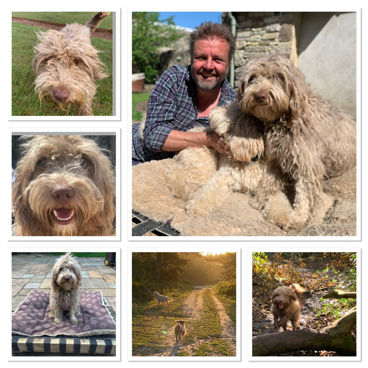 Martin Roberts tweet media