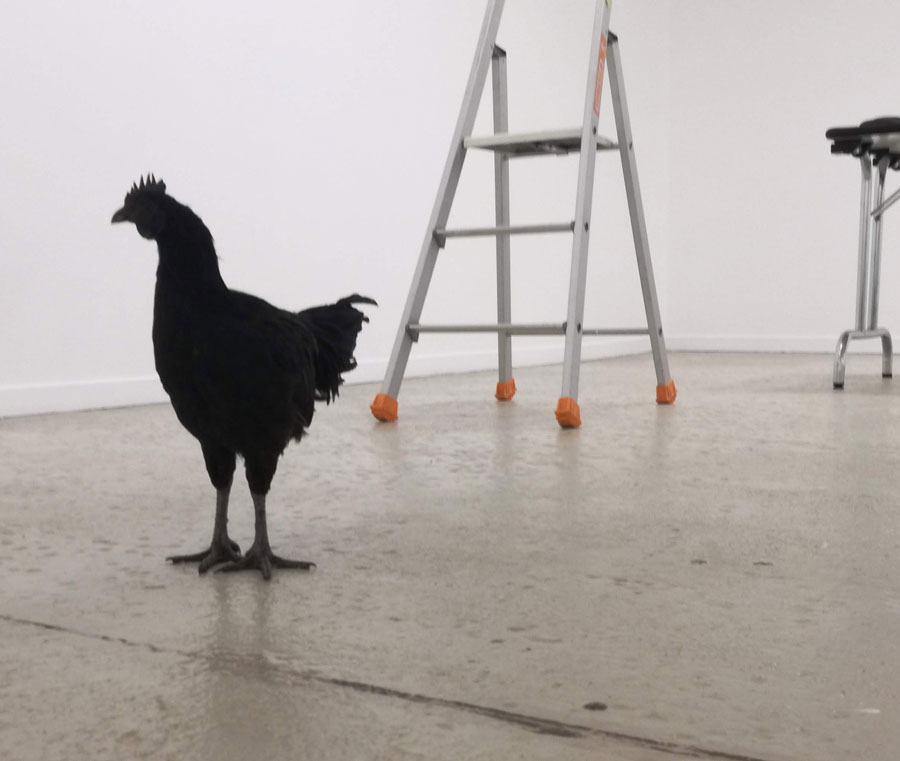 #expo à Hennebont #jamaisSansMonCoq #laurentDuthion
 duthion.blogspot.com/2021/06/expo-h…