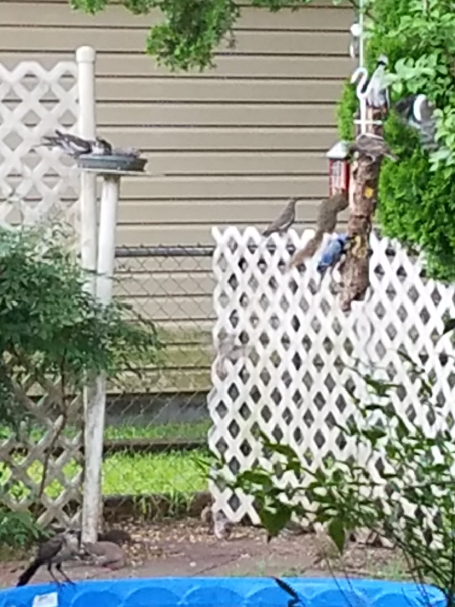 LazyDaysASMR tweet media