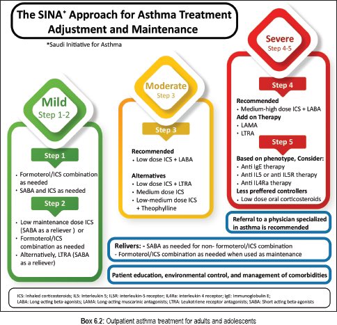 md1talk's tweet photo. 📍خطوات العلاج وأدوية الربو (تحديث جديد)🌟

SINA 2021 guidelines for asthma maintenance therapy https://t.co/m7m232nWrn