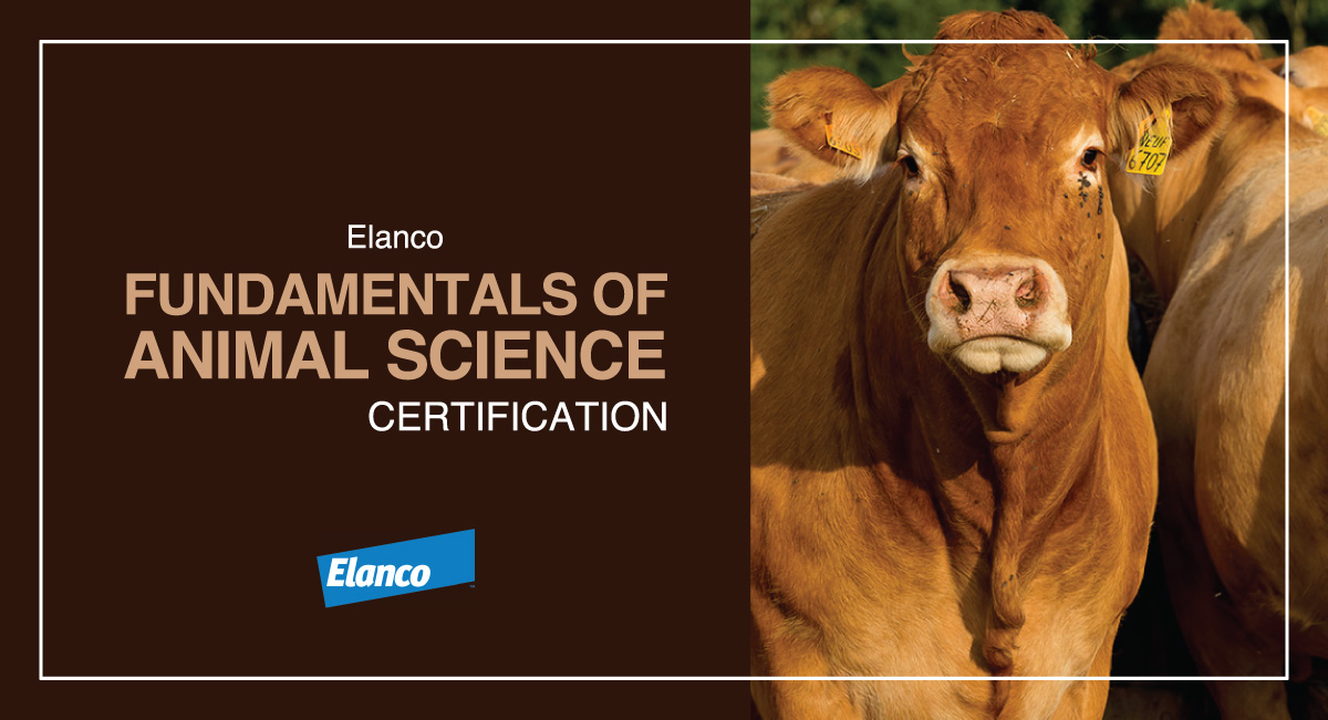 Val Verde Unified had 3 students earn the Elanco Fundamentals of Animal Science Certification tested for on @iCEVonline! CONGRATS! @dhenderson_sci @ValVerdeSupt @mark_lenoir @Elanco