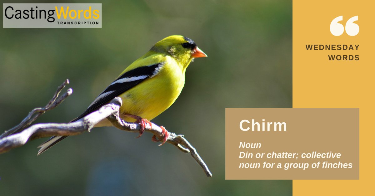 castingwords tweet media