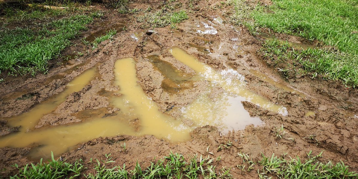 juanptoricometa's tweet photo. Y me responde un #Curito entre la sopa de este barro, a mí me gusta el agua turbia en vez de manantial claro
@CholoValderrama @WALTERSILVA_ @WILTONGAMEZ https://t.co/rJpdZ1gYza