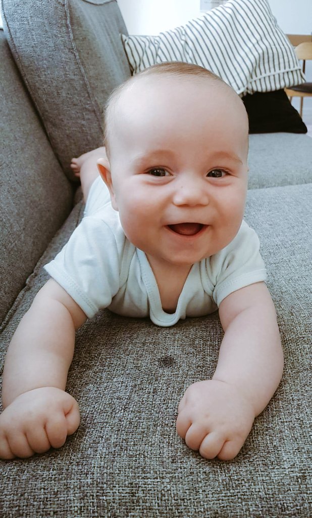 MartinNebelong's tweet photo. This little guy β₯οΈπ
#notmadeindreams https://t.co/DjceF6AvXG