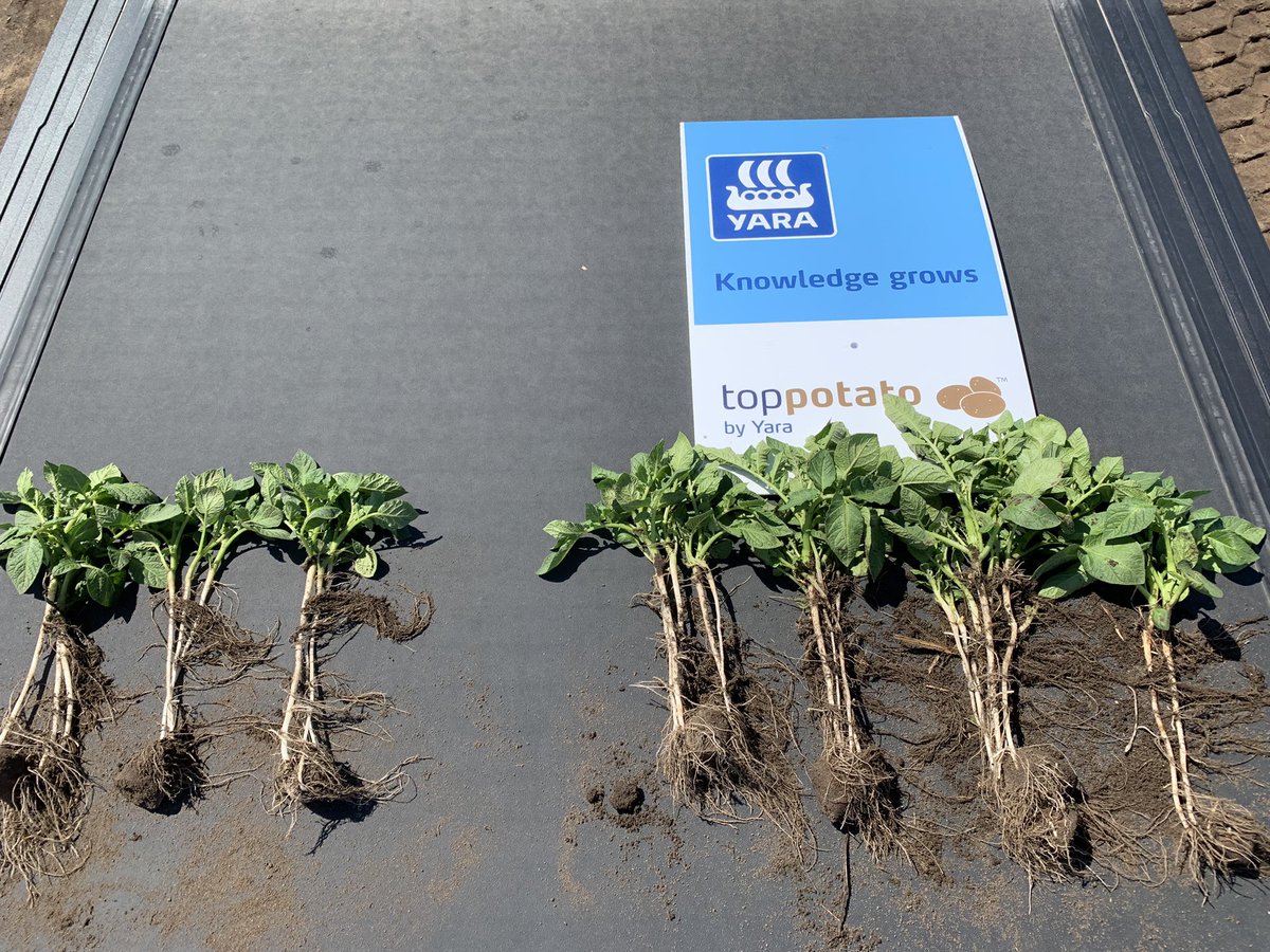 Neil Iverson tweet media