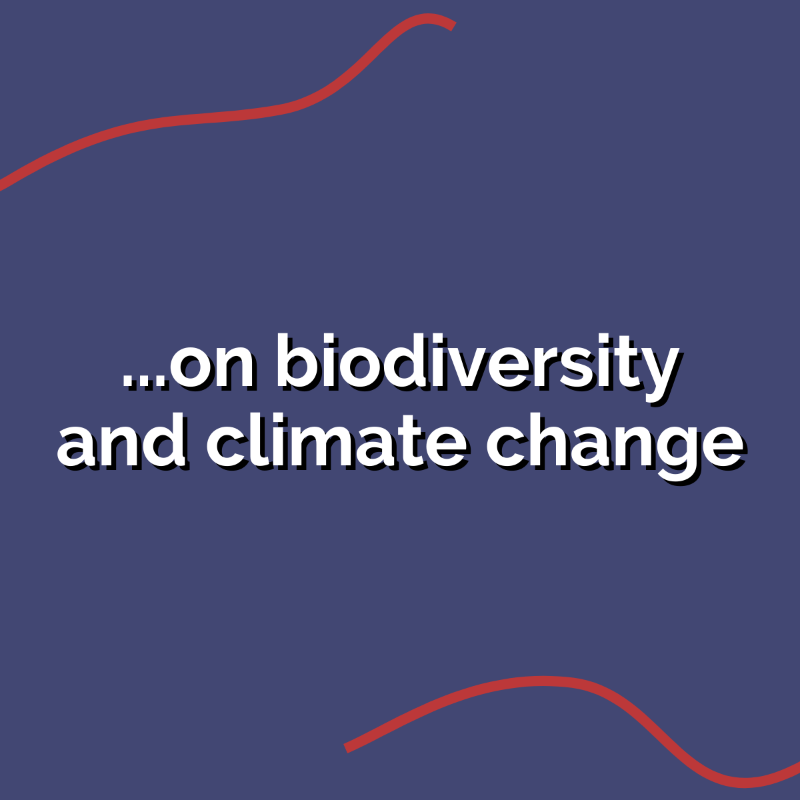 IPBES's tweet photo. 💡🌡️🦋 LAUNCHING TODAY @ 3pm CEST 💡🌡️🦋

#BiodiversityClimateScience from @IPBES and @IPCC_CH co-sponsored workshop report

Join us for the virtual media launch via YouTube livestream💻🎙️🎧