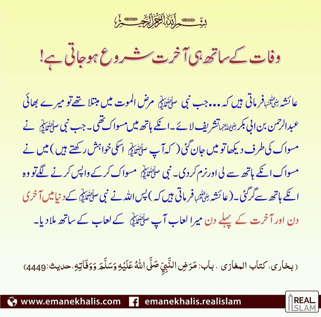 The Real Islam (@therealislamweb) on Twitter photo 