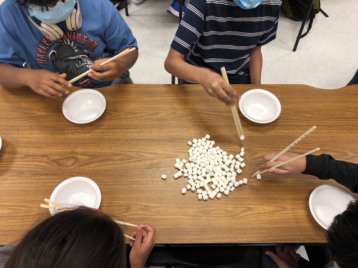 IBHernandoCavs's tweet photo. Introducing our new IB scholars to @Hernando_MS with a @Flipgrid scavenger hunt and instant challenges. We can’t wait for another school year to begin #CavPride https://t.co/hxt6HXAq8q