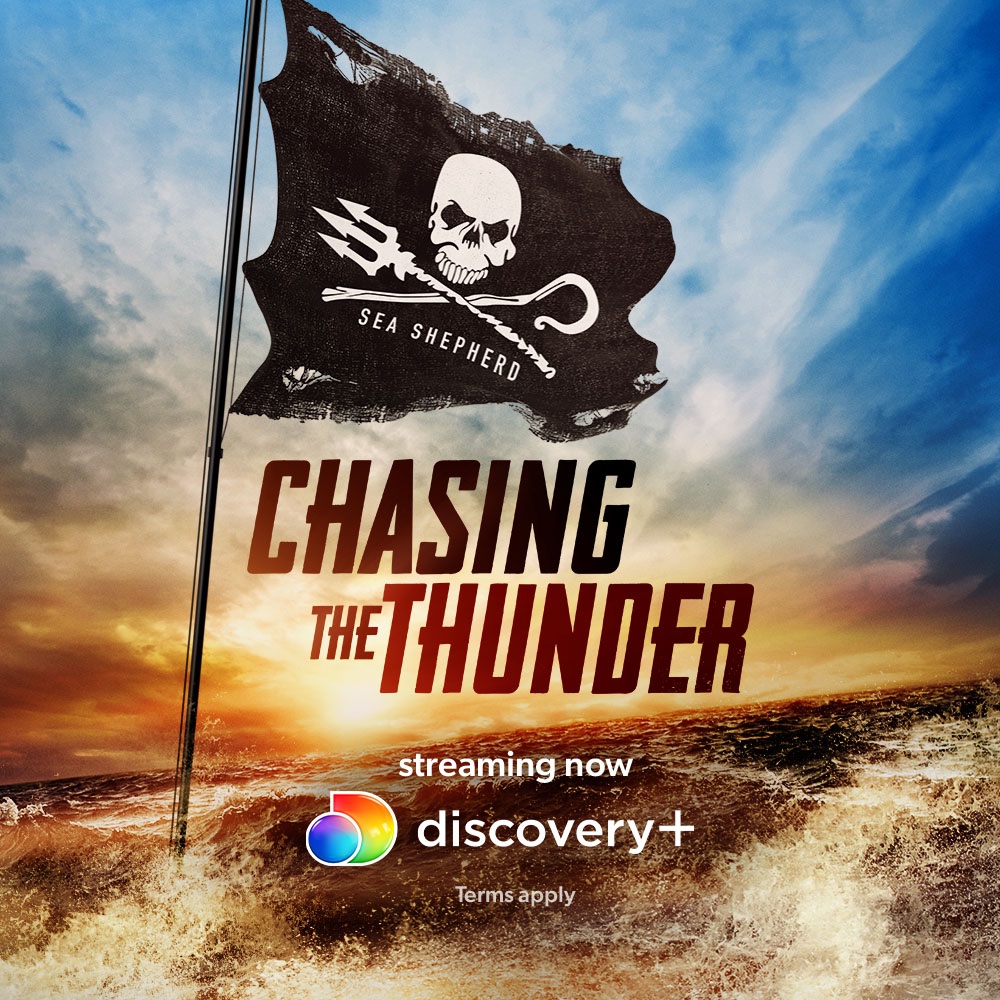 AnimalPlanet's tweet photo. Out in the ocean, the stakes are high. 🌊

Follow the intense 10,000-mile ocean pursuit of the F/V Thunder in #ChasingtheThunder, now streaming on #discoveryplus.

Download and Subscribe: https://t.co/fpJ08WH2lN https://t.co/kPTWhd730u