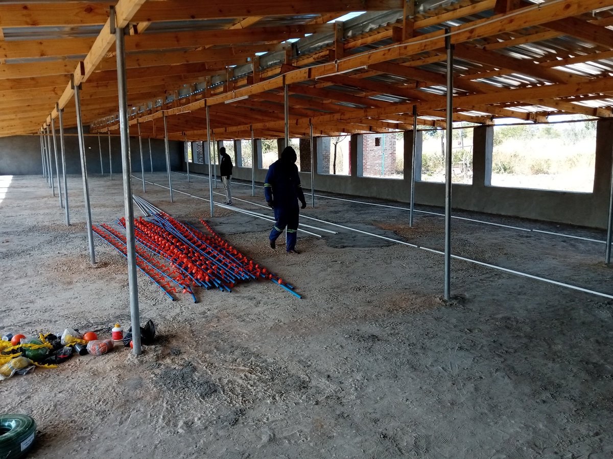 Pafungwa zvehuku apa. <a href="/basera_john/">John Basera</a> <a href="/FarmerWepa/">Farmer wepa Harare Chisora</a> <a href="/Jamwanda2/">Jamwanda</a> <a href="/ZFyfcz/">Zimbabwe Young Farmers (FYFCZ)</a> <a href="/MinistryZw/">Mash West Young Farmers Club</a> <a href="/AgricultureDesk/">AGRICULTURE YOUTH DESK</a> <a href="/AgricPmr/">Pmr Agriculture (Pty) Ltd</a>