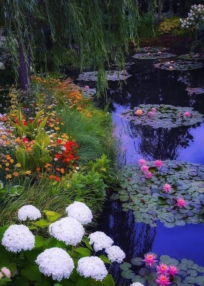 fraveris's tweet photo. Claude Monet’s Garden in Giverny https://t.co/IZNcLkwMpt