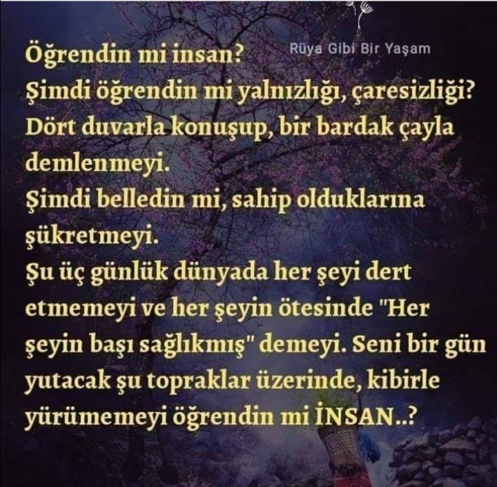 Şeyma1453 (@eyma14531) on Twitter photo 