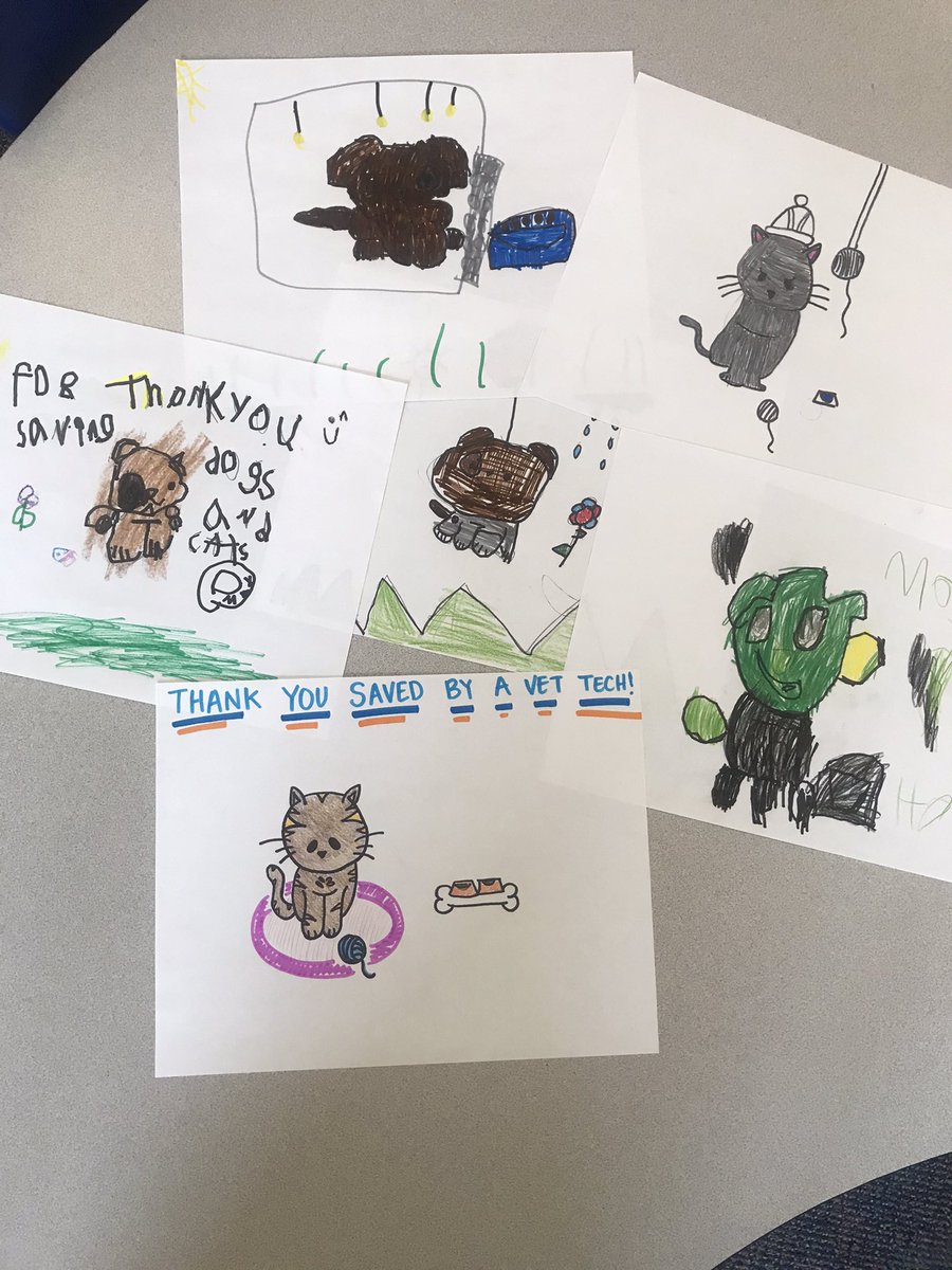 staceylearners's tweet photo. Highlights from the year - we learned all about animal rescues and made blankets, cards and pictures for a very special rescue! https://t.co/Ibtd3rJjkU