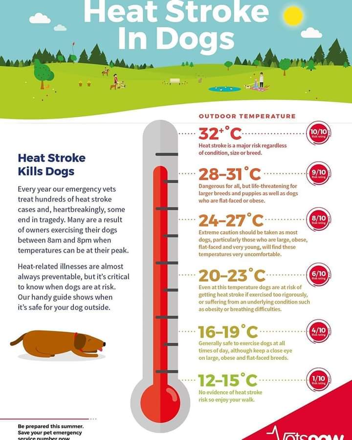 Living With Autism - A Real Life Blog (@livingwithauti4) on Twitter photo 