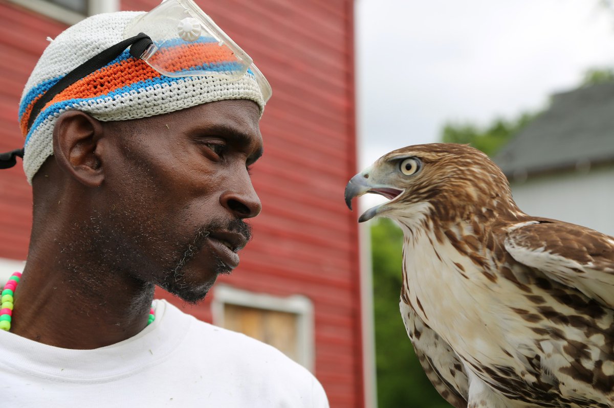 Did you miss <a href="/FalconerFilm/">The Falconer</a> during #BlackBirdersWeek? You can still stream that via <a href="/americareframed/">America ReFramed</a>! 

Get a link to the film &amp; our recent convo w/The Falconer himself <a href="/RodneyStotts1/">Rodney Stotts</a>, <a href="/hood_naturalist/">Corina Newsome, M.Sc.</a>, &amp; filmmaker <a href="/anniekaempfer/">Annie Kaempfer</a> here: dceff.org/film/falconer