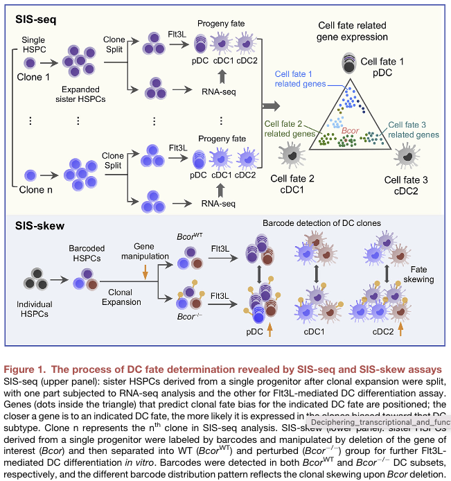 Shalin Naik (@shalinhnaik) on Twitter photo Thank you Tao Wu and Li Wu of <a href="/Tsinghua_Uni/">Tsinghua University</a> for their excellent Preview of our article. 🙏 Thank you Tao Wu and Li Wu of <a href="/Tsinghua_Uni/">Tsinghua University</a> for their excellent Preview of our article. 🙏